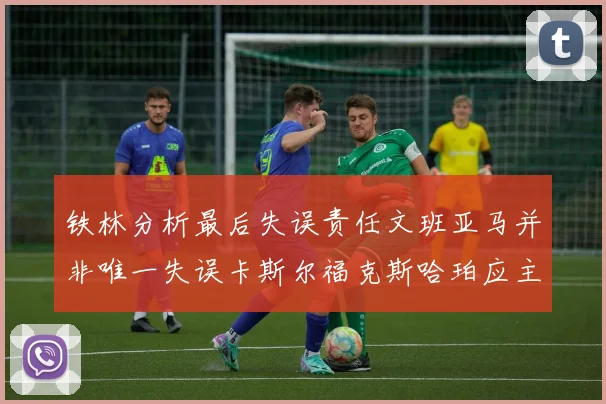 铁林分析最后失误责任文班亚马并非唯一失误卡斯尔福克斯哈珀应主动接球