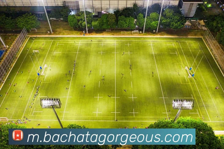 奖项图3